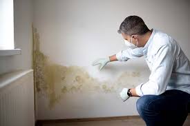 New Glarus, WI Mold Inspection Company